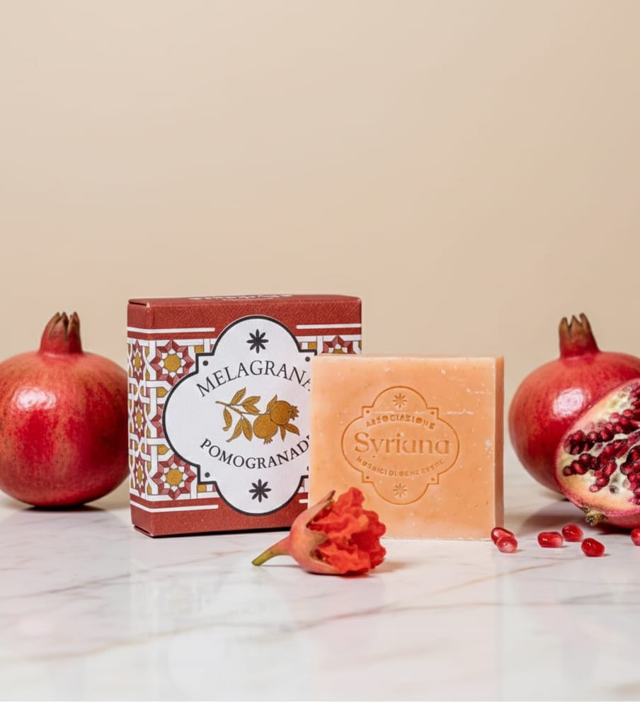 savonsaponiféafroidgrenade