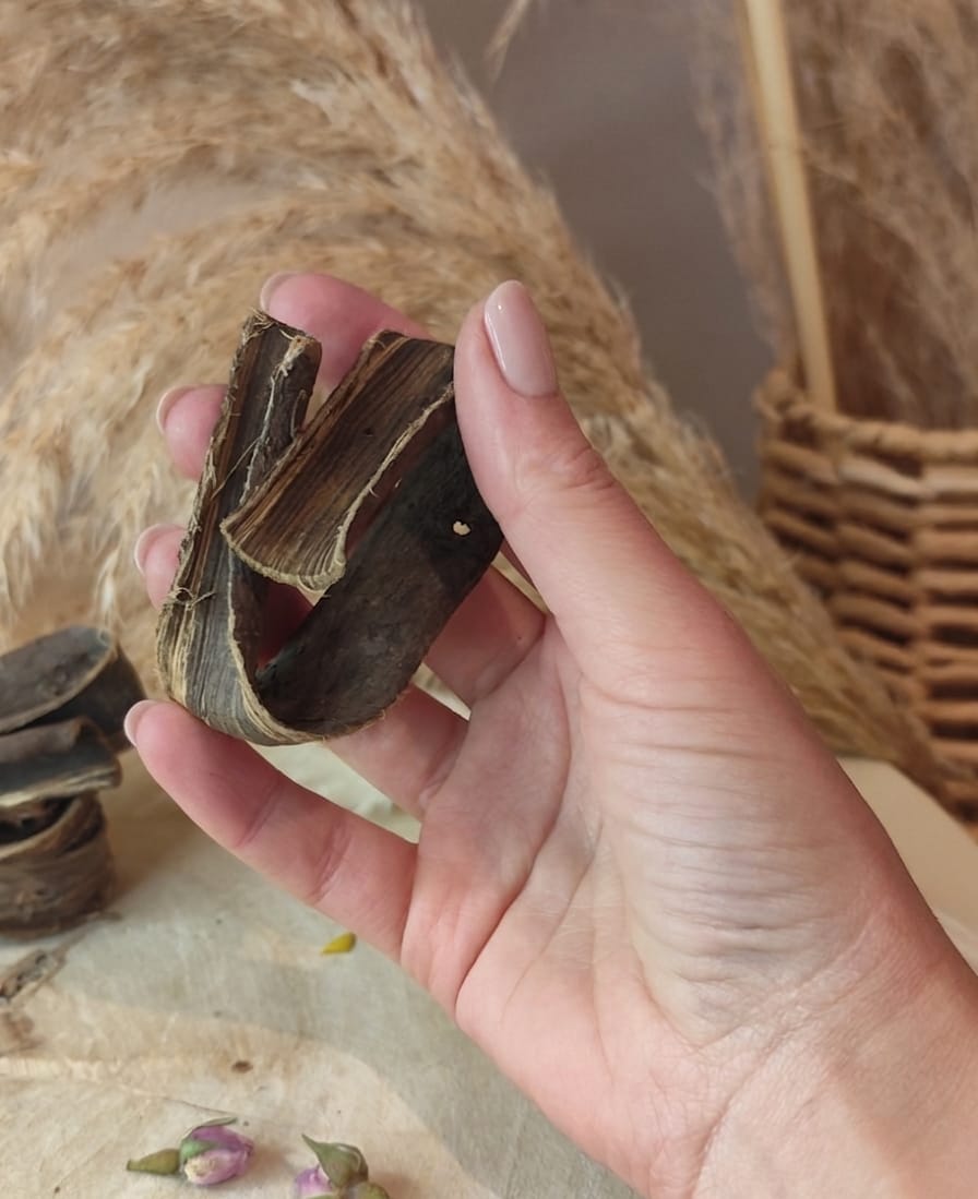 souak marocain intense Écorce de noyer pour blanchiment dentaire naturel souak marocain intense Écorce de noyer pour blanchiment dentaire naturel