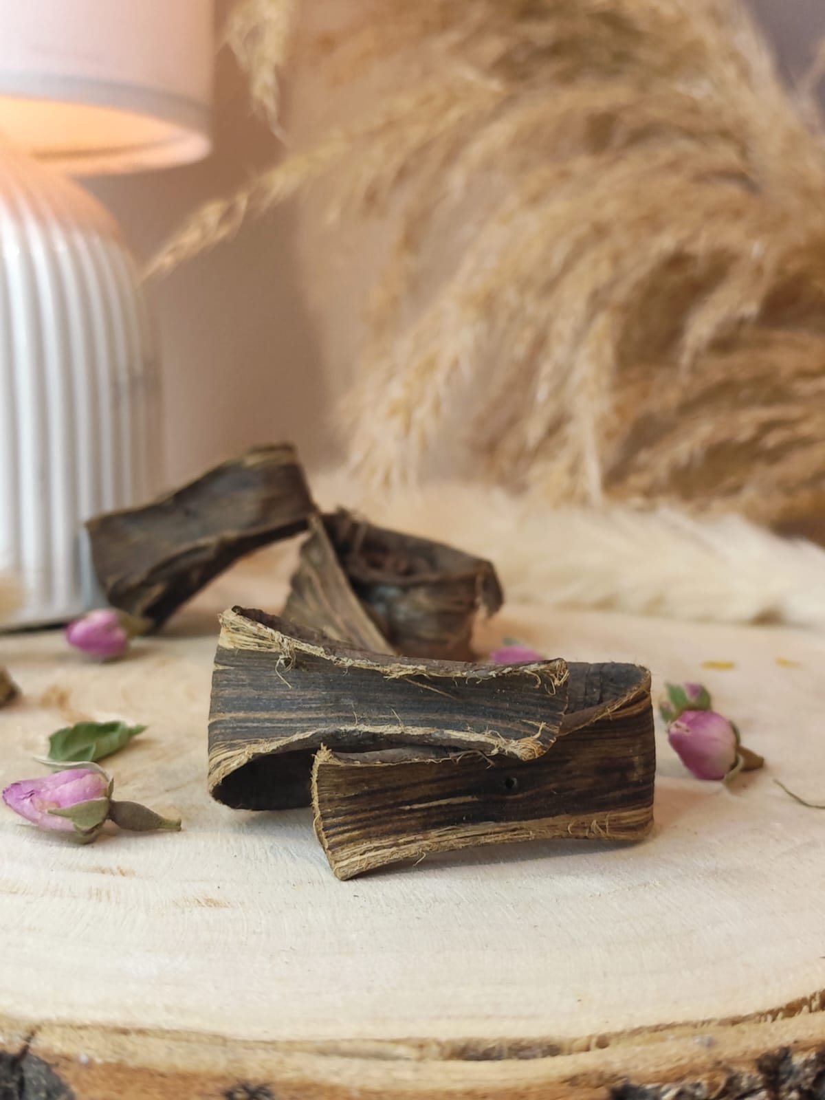 souak marocain intense Écorce de noyer pour blanchiment dentaire naturel souak marocain intense Écorce de noyer pour blanchiment dentaire naturel